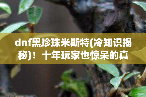 dnf黑珍珠米斯特{冷知识揭秘}！十年玩家也惊呆的真相
