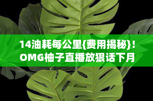 14油耗每公里{费用揭秘}!OMG柚子直播放狠话下月登顶 14油耗每公里{费用揭秘}!OMG柚子直播放狠话下月登顶