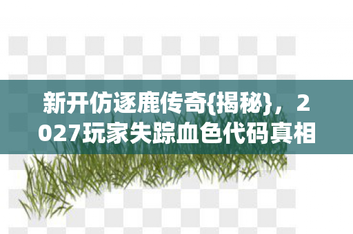 新开仿逐鹿传奇{揭秘}，2027玩家失踪血色代码真相