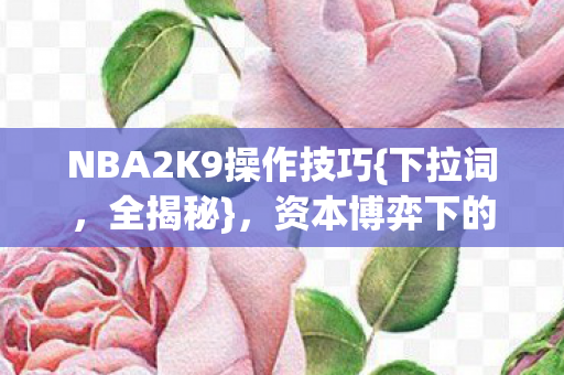NBA2K9操作技巧{下拉词，全揭秘}，资本博弈下的玩家心寒真相