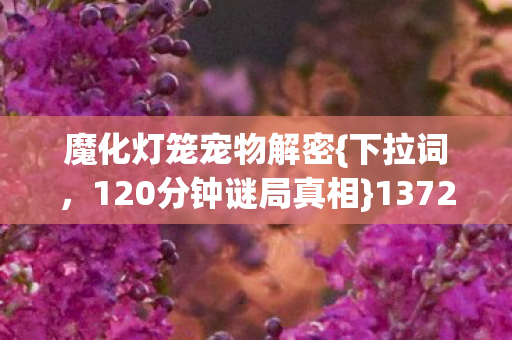 魔化灯笼宠物解密{下拉词,120分钟谜局真相}1372次死亡背后 魔化灯笼宠物解密{下拉词,120分钟谜局真相}1372次死亡背后