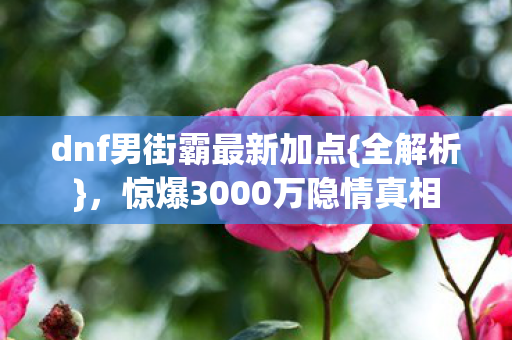 dnf男街霸最新加点{全解析},惊爆3000万隐情真相 dnf男街霸最新加点{全解析},惊爆3000万隐情真相