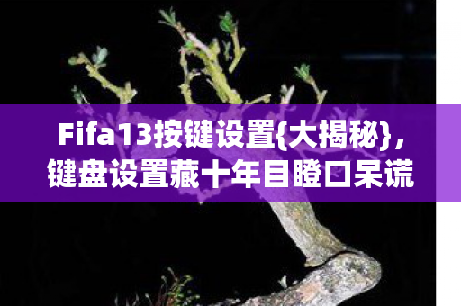 Fifa13按键设置{大揭秘},键盘设置藏十年目瞪口呆谎言 Fifa13按键设置{大揭秘},键盘设置藏十年目瞪口呆谎言