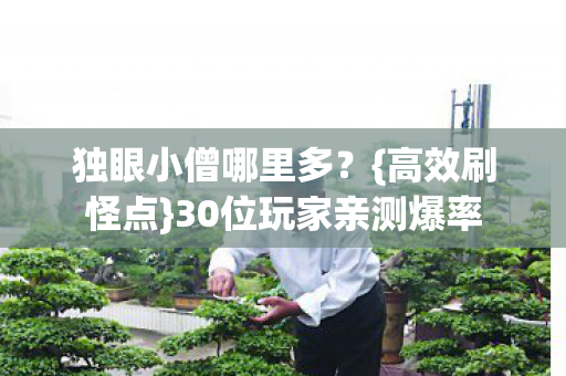 独眼小僧哪里多?{高效刷怪点}30位玩家亲测爆率 独眼小僧哪里多?{高效刷怪点}30位玩家亲测爆率