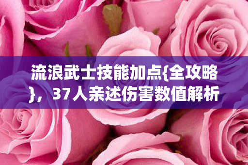 流浪武士技能加点{全攻略}，37人亲述伤害数值解析