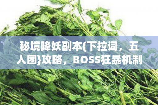 秘境降妖副本{下拉词,五人团}攻略,BOSS狂暴机制揭秘 秘境降妖副本{下拉词,五人团}攻略,BOSS狂暴机制揭秘