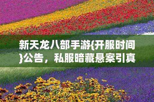 私服暗藏悬案引真相揭秘图片