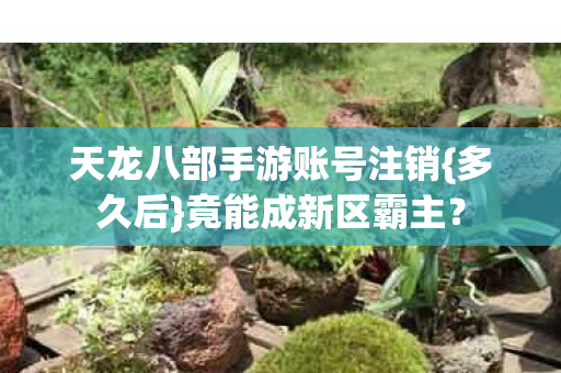 天龙八部手游账号注销图片