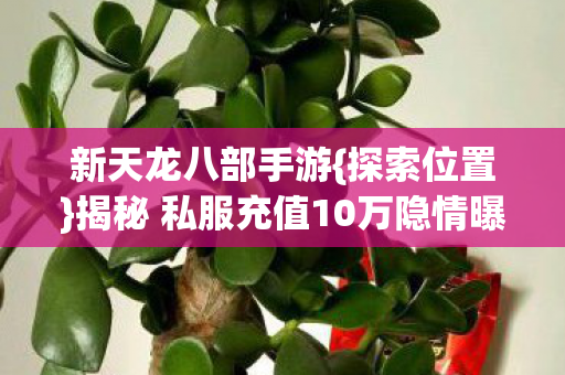 揭秘 私服充值10万隐情曝光图片