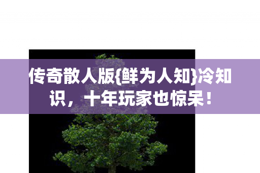传奇散人版{鲜为人知}冷知识,十年玩家也惊呆! 传奇散人版{鲜为人知}冷知识,十年玩家也惊呆!