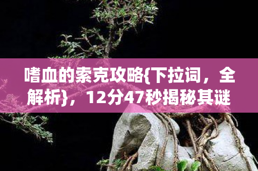 嗜血的索克攻略{下拉词,全解析},12分47秒揭秘其谜团 嗜血的索克攻略{下拉词,全解析},12分47秒揭秘其谜团