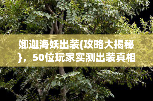 娜迦海妖出装{攻略大揭秘}，50位玩家实测出装真相