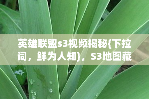英雄联盟s3视频揭秘{下拉词,鲜为人知},S3地图藏隐形炸弹 英雄联盟s3视频揭秘{下拉词,鲜为人知},S3地图藏隐形炸弹