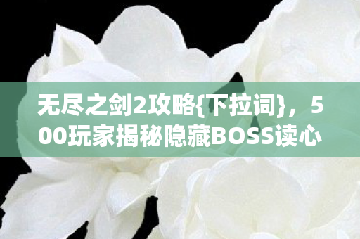 无尽之剑2攻略{下拉词},500玩家揭秘隐藏BOSS读心术 无尽之剑2攻略{下拉词},500玩家揭秘隐藏BOSS读心术