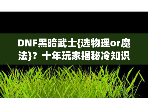 DNF黑暗武士{选物理or魔法}?十年玩家揭秘冷知识 DNF黑暗武士{选物理or魔法}?十年玩家揭秘冷知识