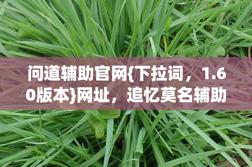 问道辅助官网{下拉词，1.60版本}网址，追忆莫名辅助的往昔