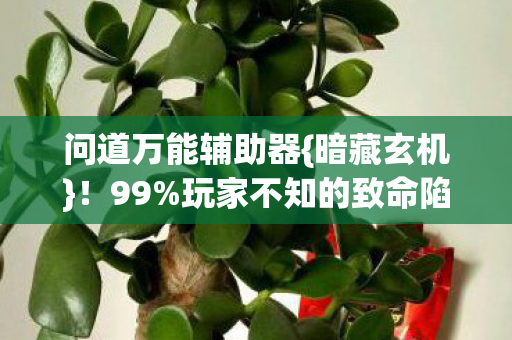 问道万能辅助器{暗藏玄机}!99%玩家不知的致命陷阱 问道万能辅助器{暗藏玄机}!99%玩家不知的致命陷阱