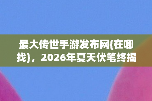 2026年夏天伏笔终揭晓图片