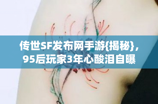95后玩家3年心酸泪自曝图片