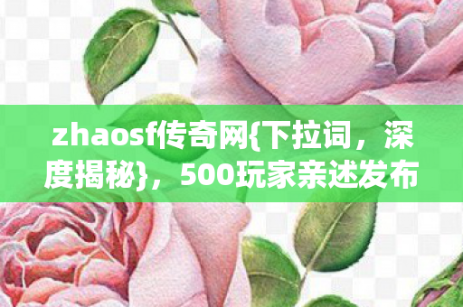 500玩家亲述发布网疑云图片