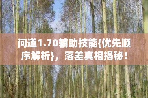 问道1.70辅助技能{优先顺序解析},落差真相揭秘! 问道1.70辅助技能{优先顺序解析},落差真相揭秘!