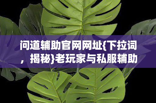 问道辅助官网网址{下拉词,揭秘}老玩家与私服辅助心酸史 问道辅助官网网址{下拉词,揭秘}老玩家与私服辅助心酸史