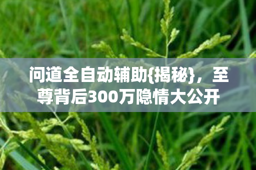 问道全自动辅助{揭秘}，至尊背后300万隐情大公开