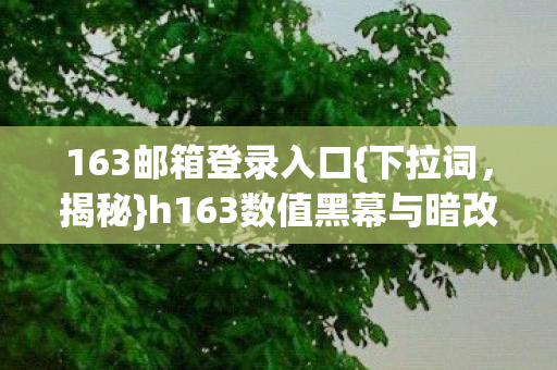 h163数值黑幕与暗改逻辑图片