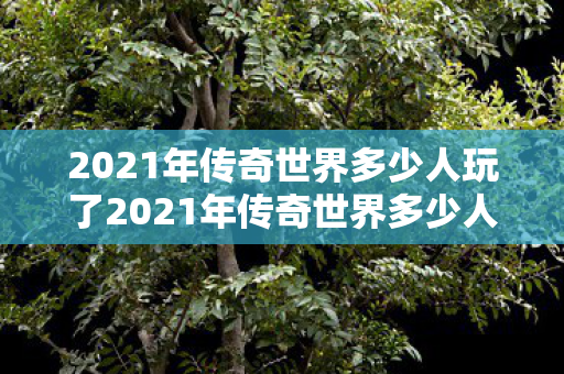 2021年传奇世界多少人玩了2021年传奇世界多少人玩图片