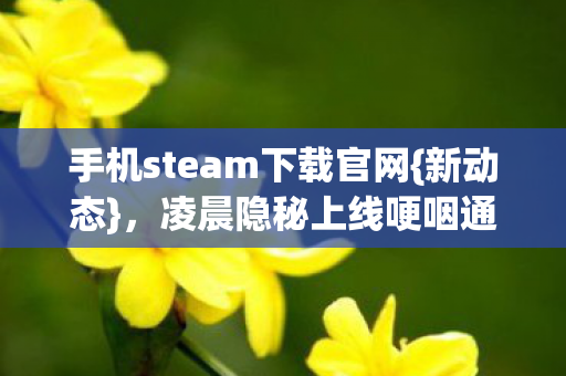 手机steam下载官网{新动态}，凌晨隐秘上线哽咽通关时光