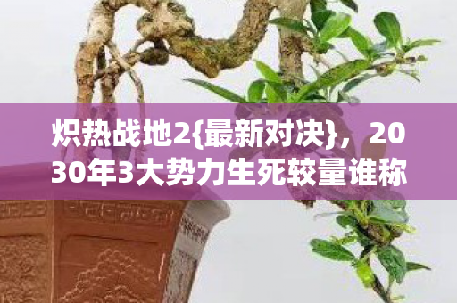 炽热战地2{最新对决},2030年3大势力生死较量谁称雄? 炽热战地2{最新对决},2030年3大势力生死较量谁称雄?