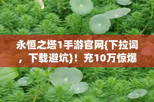 永恒之塔1手游官网{下拉词,下载避坑}!充10万惊爆私服隐情 永恒之塔1手游官网{下拉词,下载避坑}!充10万惊爆私服隐情