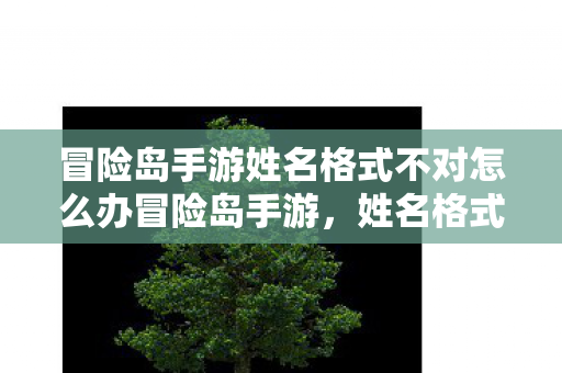 冒险岛手游姓名格式不对怎么办冒险岛手游,姓名格式的正确性为何如此重要?冒险岛手游姓名格式错误怎么办?解析姓名格式的重要性 冒险岛手游姓名格式不对怎么办冒险岛手游,姓名格式的正确性为何如此重要?冒险岛手游姓名格式错误怎么办?解析姓名格式的重要性