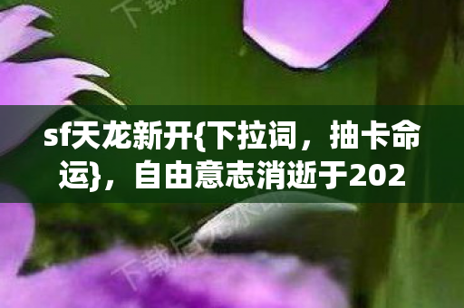 自由意志消逝于2027服务器图片
