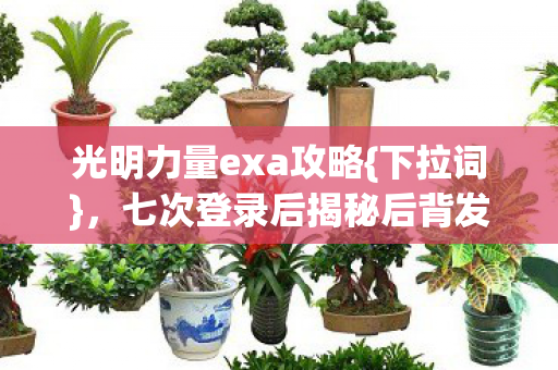 七次登录后揭秘后背发凉真相图片