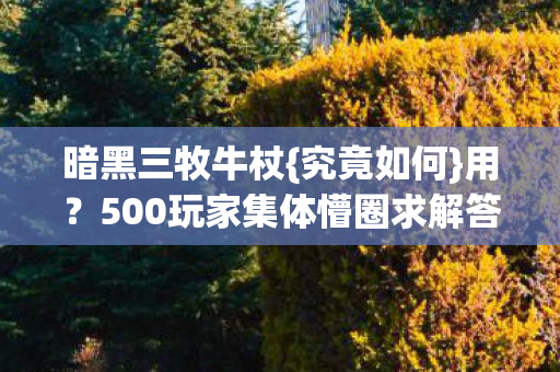 暗黑三牧牛杖{究竟如何}用?500玩家集体懵圈求解答 暗黑三牧牛杖{究竟如何}用?500玩家集体懵圈求解答