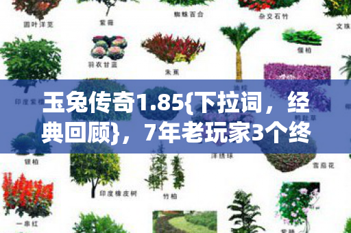 玉兔传奇1.85{下拉词,经典回顾},7年老玩家3个终极抉择难眠 玉兔传奇1.85{下拉词,经典回顾},7年老玩家3个终极抉择难眠