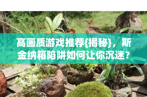 高画质游戏推荐{揭秘},斯金纳箱陷阱如何让你沉迷? 高画质游戏推荐{揭秘},斯金纳箱陷阱如何让你沉迷?