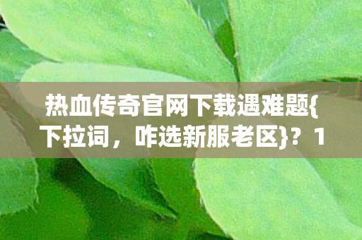 热血传奇官网下载遇难题{下拉词，咋选新服老区}？12年老玩家纠结