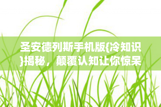 圣安德列斯手机版图片