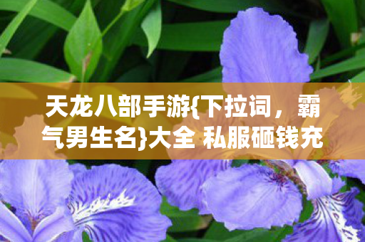 大全 私服砸钱充神装经历图片