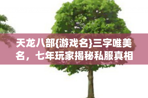 七年玩家揭秘私服真相图片