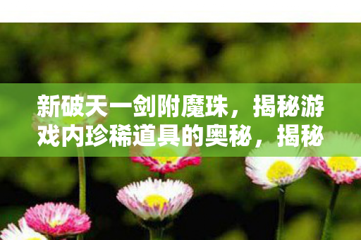 新破天一剑附魔珠,揭秘游戏内珍稀道具的奥秘,揭秘新破天一剑,附魔珠的奥秘与珍稀道具的获取途径 新破天一剑附魔珠,揭秘游戏内珍稀道具的奥秘,揭秘新破天一剑,附魔珠的奥秘与珍稀道具的获取途径