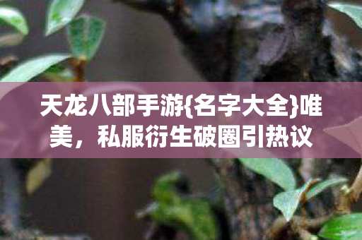私服衍生破圈引热议图片