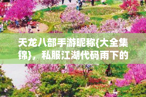 私服江湖代码雨下的秘密图片