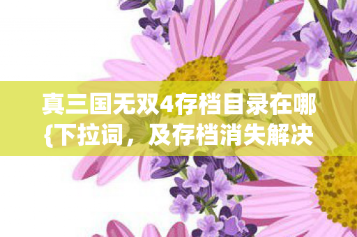 真三国无双4存档目录在哪{下拉词，及存档消失解决}？0.1秒操作揭秘