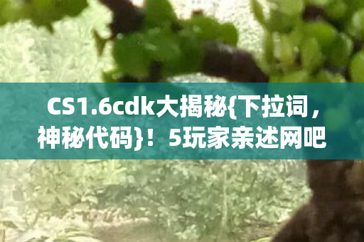 5玩家亲述网吧趣事图片