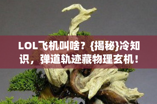 弹道轨迹藏物理玄机图片