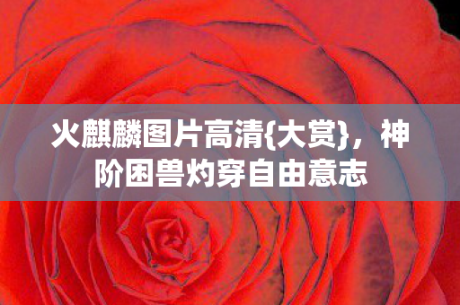 火麒麟图片高清{大赏},神阶困兽灼穿自由意志 火麒麟图片高清{大赏},神阶困兽灼穿自由意志