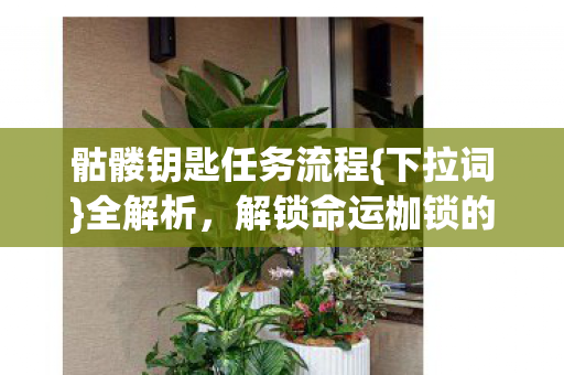 骷髅钥匙任务流程{下拉词}全解析,解锁命运枷锁的奥秘 骷髅钥匙任务流程{下拉词}全解析,解锁命运枷锁的奥秘